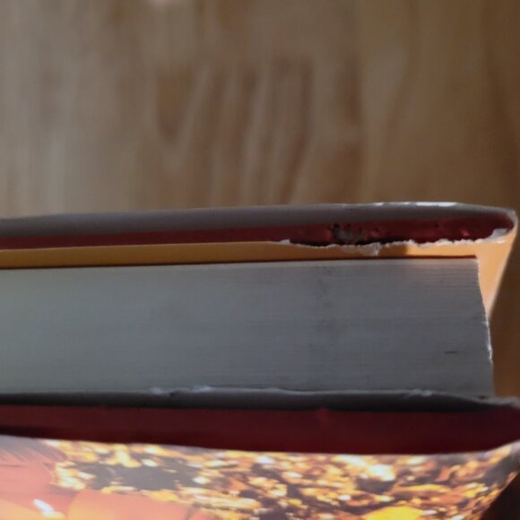 BOGO ~ Christmas Gods Way Book - Picture 3 of 4